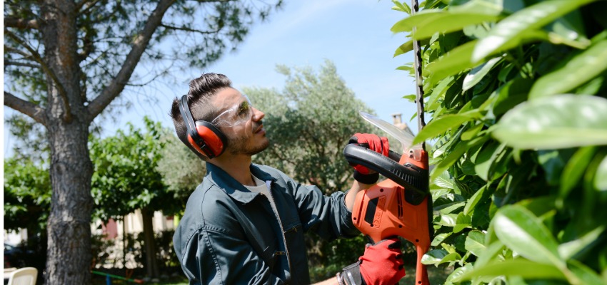 Jardinier qui taille une haie