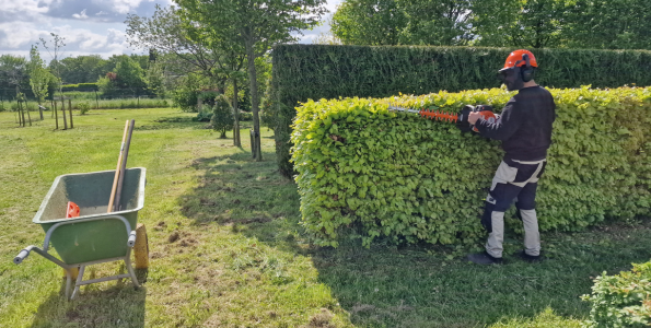 Jardinier d'entretien à Bruxelles