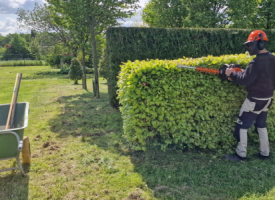 Jardinier d'entretien à Bruxelles